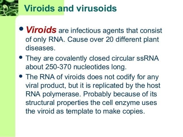 Virusoid Chapter52537 microbiology 8th edition