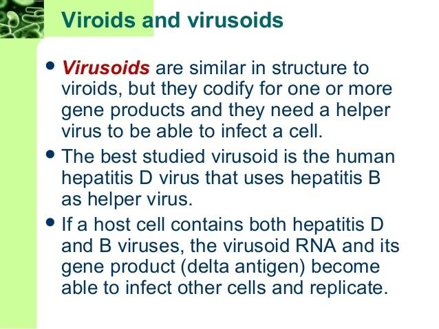 Virusoid Chapter52537 microbiology 8th edition