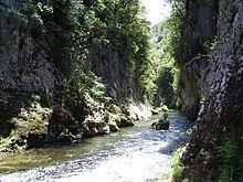 Vis (river) httpsuploadwikimediaorgwikipediacommonsthu
