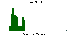 Visinin-like protein 1