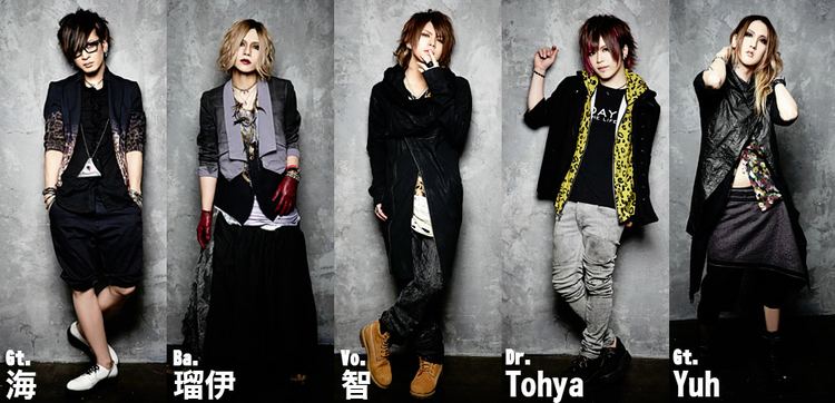 Vistlip vistlips new look individual visual ioner