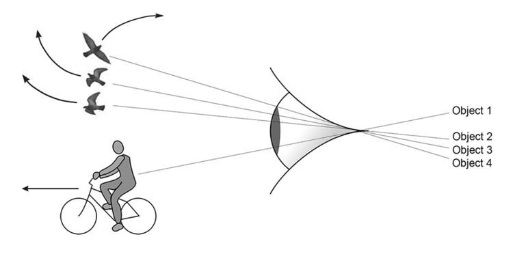 Visual indexing theory