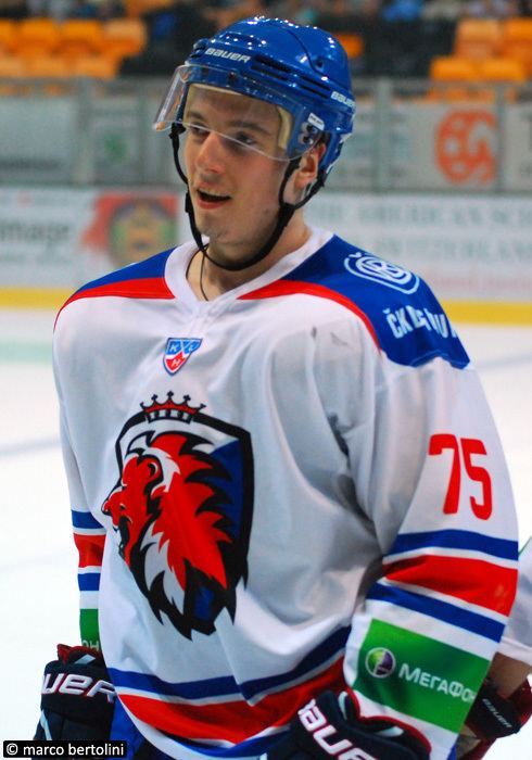 Vitaly Karamnov Vitaly Karamnov profile Eurohockeycom