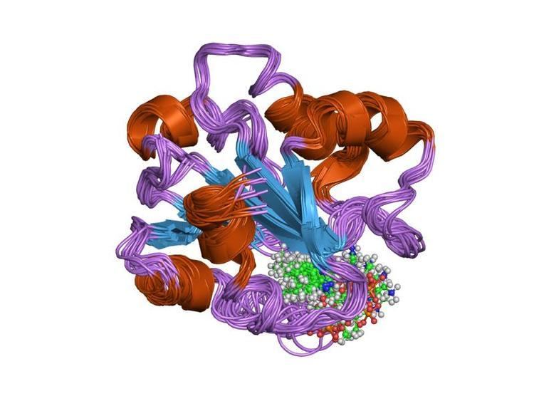 Vitamin B12-binding domain