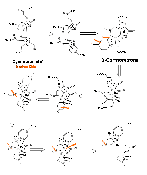 Vitamin B12 total synthesis httpschemlibretextsorgapidekifiles48527