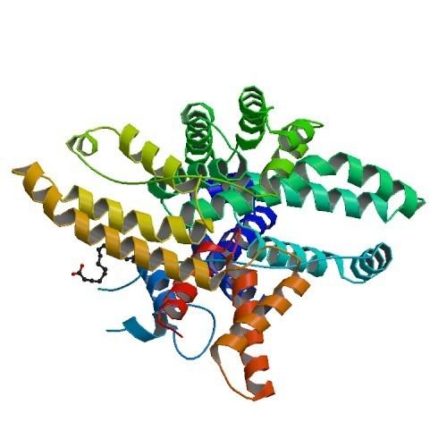 Vitamin D-binding protein RCSB PDB 1J78 Crystallographic analysis of the human vitamin D