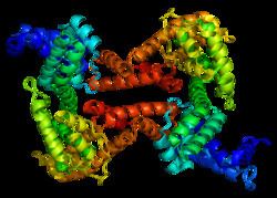Vitamin D-binding protein httpsuploadwikimediaorgwikipediacommonsthu