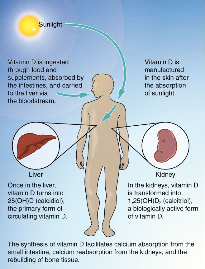 Vitamin D deficiency in Australia