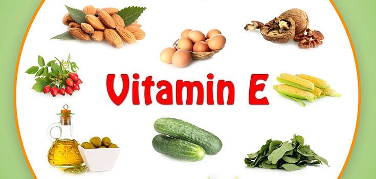 Vitamin E Effects of Vitamin E on Female Reproductive System VetBest Health