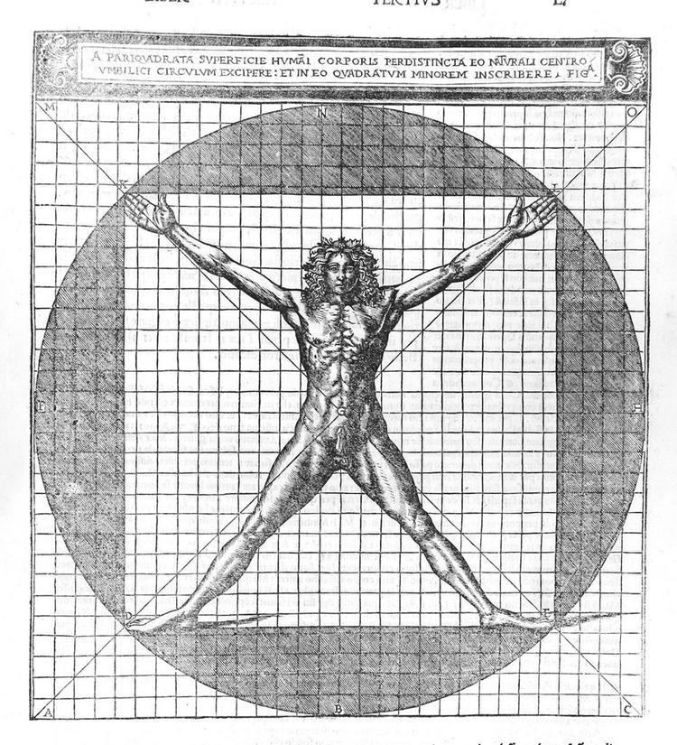 Vitruvius Leonardo39s Measure The Genitals of Vitruvian Men Jill
