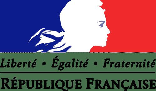 Vive la France What does Vive la France mean Patriotism in French Learn French