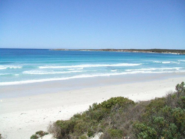 Vivonne Bay, South Australia (locality) httpsi2aureastaticnet800x6006477a5e183cf27