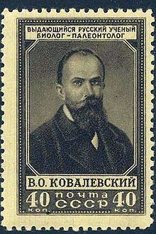Vladimir Kovalevsky httpsuploadwikimediaorgwikipediacommonsthu