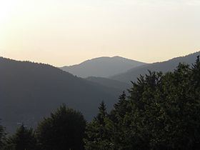 Vogelsang (Bavarian Forest) httpsuploadwikimediaorgwikipediacommonsthu