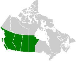 Volcanology of Western Canada httpsuploadwikimediaorgwikipediacommonsthu