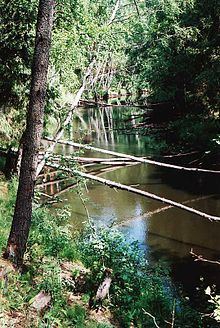 Volchya River (Vuoksi tributary) httpsuploadwikimediaorgwikipediacommonsthu