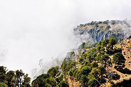 Volcán Tacaná Biosphere Reserve httpsuploadwikimediaorgwikipediacommonsthu