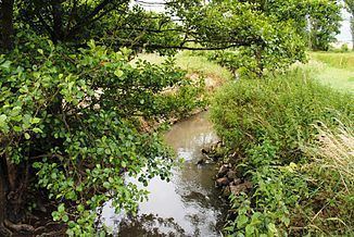 Volkach (river) httpsuploadwikimediaorgwikipediacommonsthu