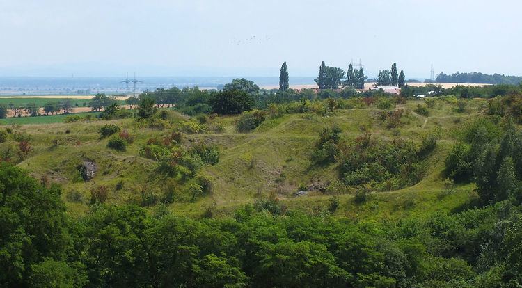 Vápenice (natural monument)