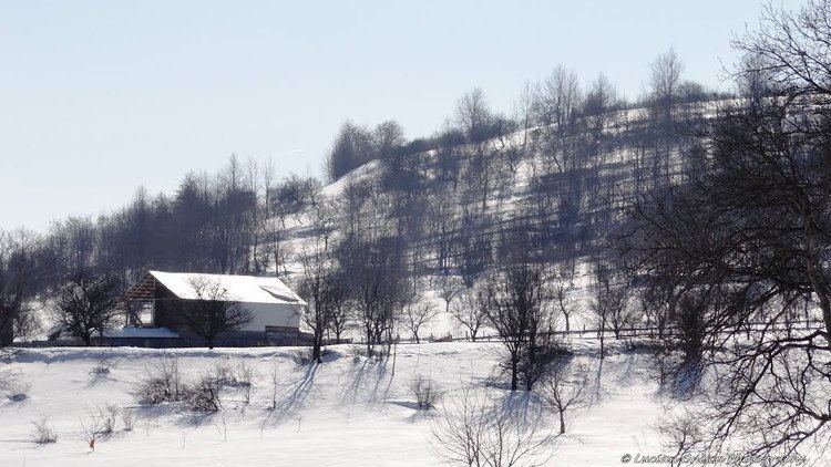 Vrancea County Beautiful Landscapes of Vrancea County