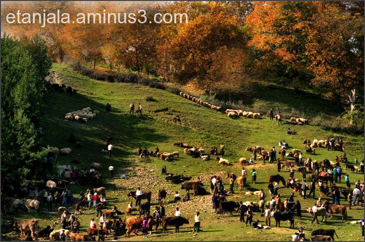 Vrancea County Beautiful Landscapes of Vrancea County