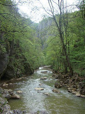 Vârghiș River (Olt) httpsuploadwikimediaorgwikipediacommonsthu