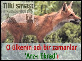 Vulpes vulpes kurdistanica Vulpes Vulpes Kurdistanica Kuscacom