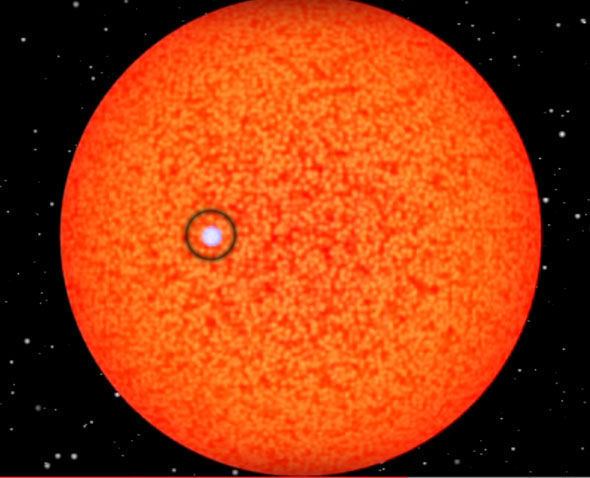 VY Canis Majoris Feeling small How even our SUN is barely visible next to the