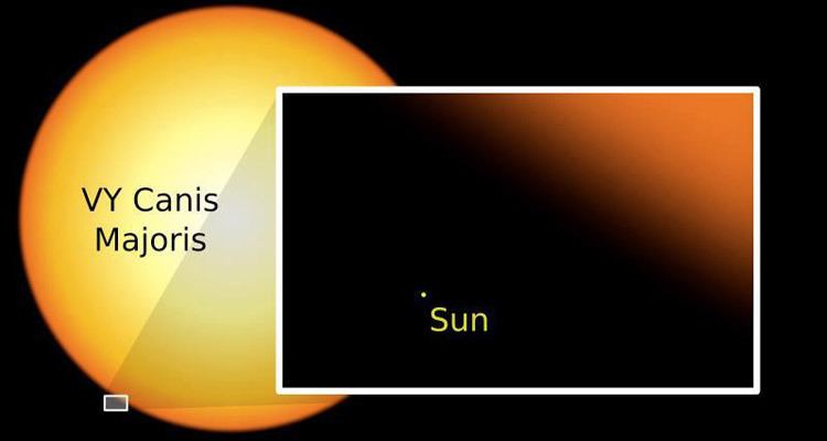 VY Canis Majoris VY Canis Majoris one of the largest stars known