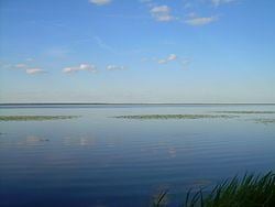 Vyhanaščanskaje Lake httpsuploadwikimediaorgwikipediacommonsthu