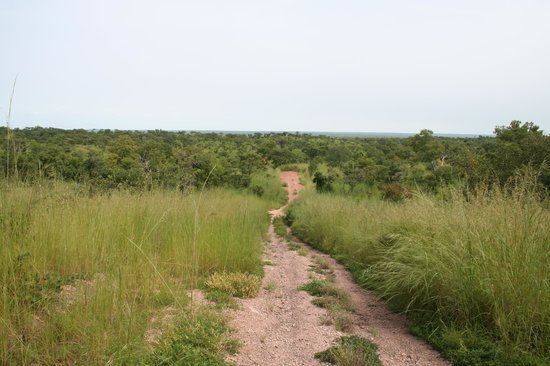 W National Park W National Park Niger Africa Top Tips Before You Go TripAdvisor