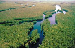 Waccamaw National Wildlife Refuge