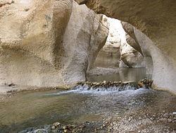 Wadi al-Hasa httpsuploadwikimediaorgwikipediacommonsthu