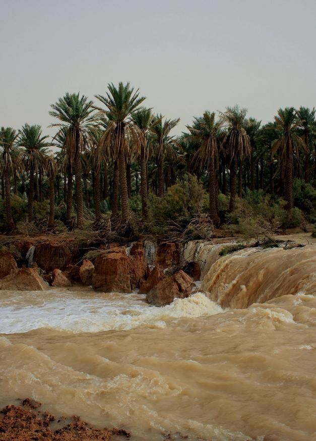 Wadi al-Rummah httpsuploadwikimediaorgwikipediacommonsdd