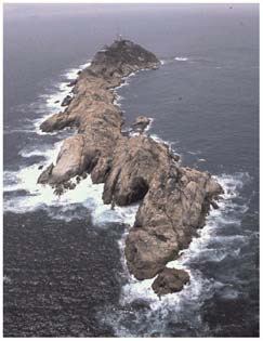 Waglan Island httpsuploadwikimediaorgwikipediacommons44