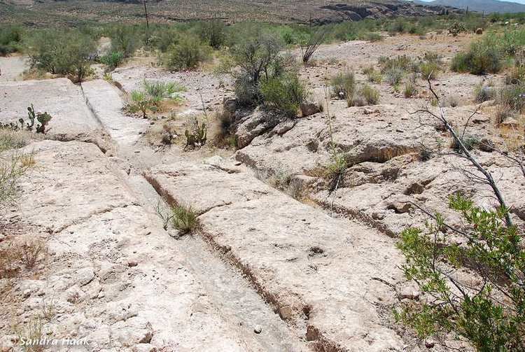 Wagon Tracks Arizona