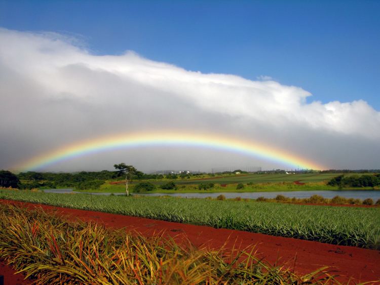 Wahiawa, Hawaii cdnskimgsimageuploadv1456342699msiiStock00