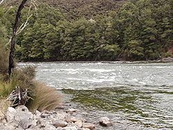 Waiau River (Southland) httpsuploadwikimediaorgwikipediacommonsthu