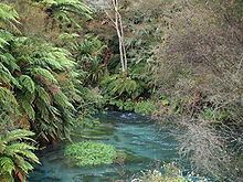Waihou River httpsuploadwikimediaorgwikipediacommonsthu