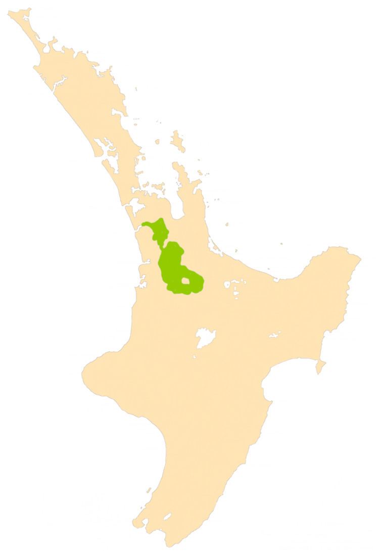 Waikato Plains