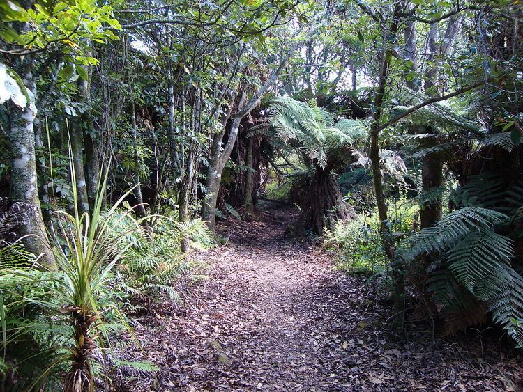 Waikato River Trails - Alchetron, The Free Social Encyclopedia