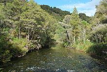 Waikoropupu River httpsuploadwikimediaorgwikipediacommonsthu