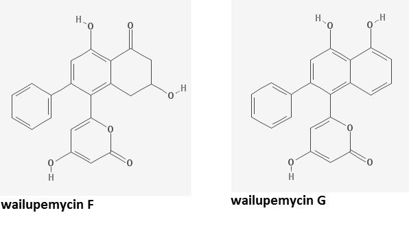 Wailupemycin