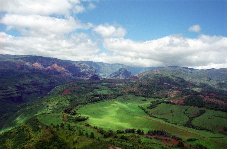 Waimea, Kauai County, Hawaii wwwdailyventurecommediahighreskauaihelicopte