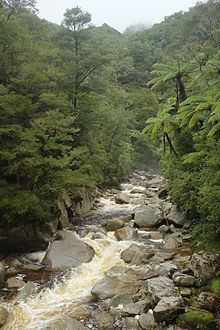 Wainui River (Tasman) httpsuploadwikimediaorgwikipediacommonsthu