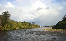 Wairaurahiri River httpsuploadwikimediaorgwikipediacommonsthu