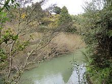 Waitetuna River httpsuploadwikimediaorgwikipediacommonsthu
