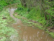 Wakefield River httpsuploadwikimediaorgwikipediacommonsthu