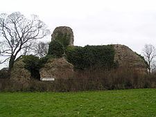 Walden Castle httpsuploadwikimediaorgwikipediacommonsthu