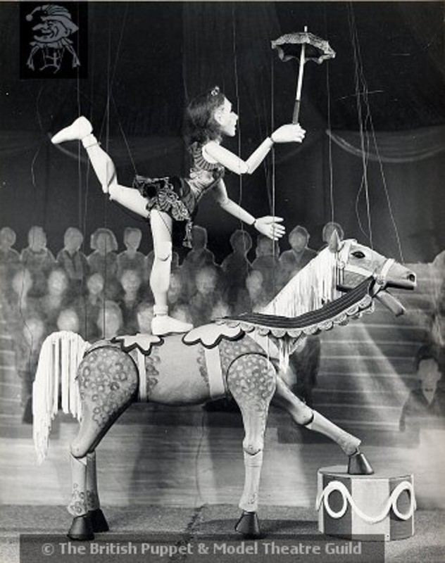 Waldo Lanchester Jubiliee the Circus Horse Waldo Lanchester 1930s 00012 on eHive